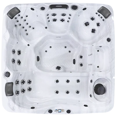 Avalon EC-867L hot tubs for sale in Salinas